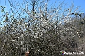 VBS_8803- Risvegli